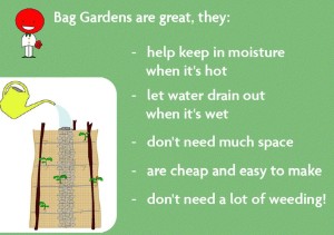 Bag-Garden-Dynamics