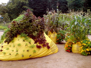 Bag Gardens#1