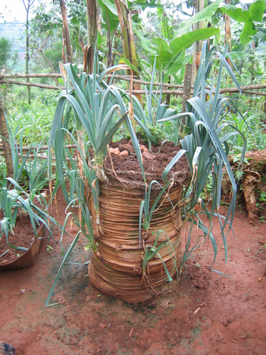 Uganda-Bag-Garden