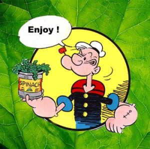 3110919506_spinach_popeye_xlarge