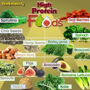High Protein Foods