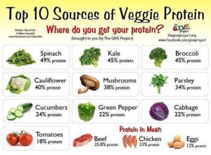 Top 10 Veggie Protein